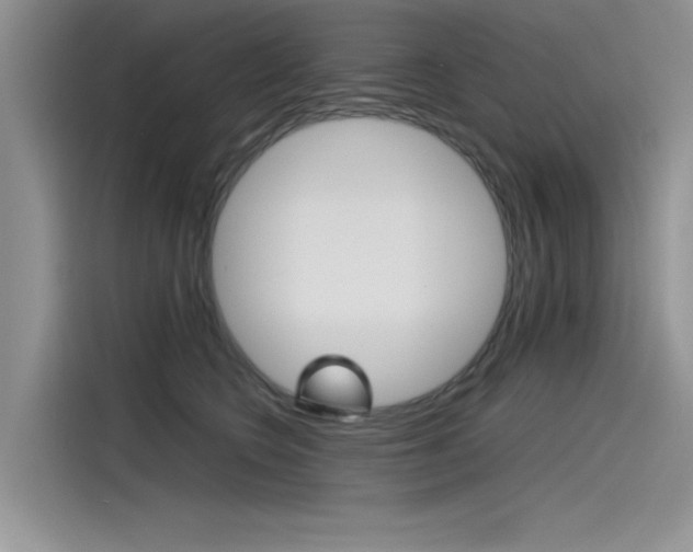 X0000115780566200911131008