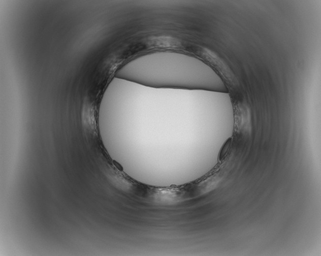 X0000115780573200911131009