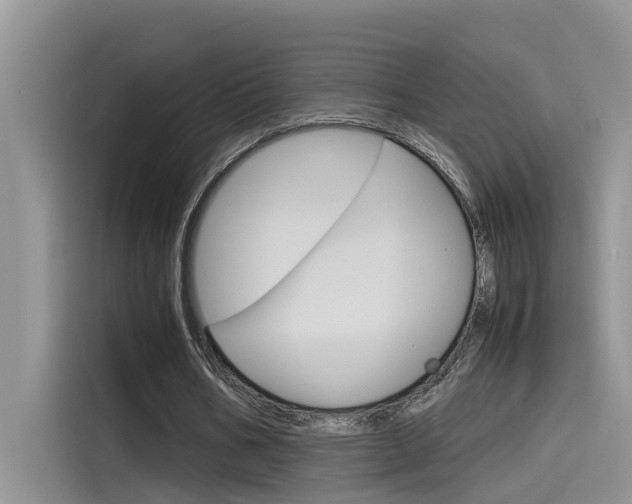 X0000115780578200911131008