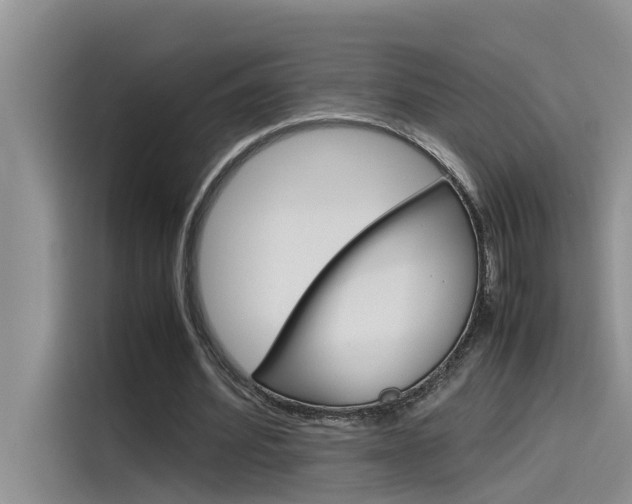 X0000115780580200911131008