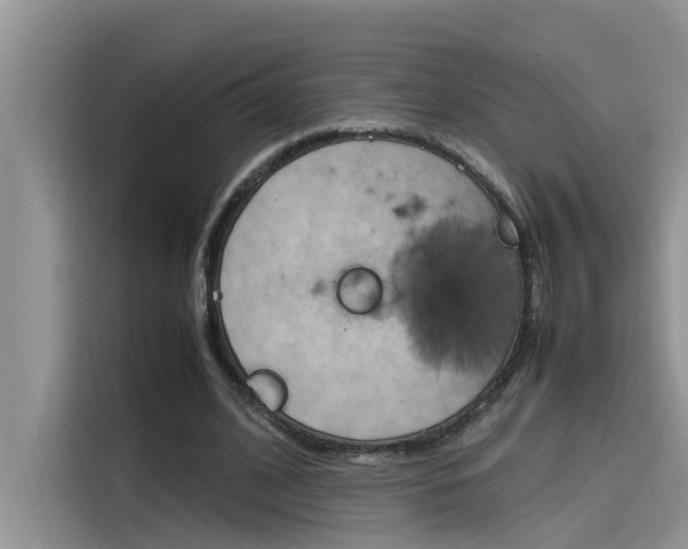 X0000115780584200911131008