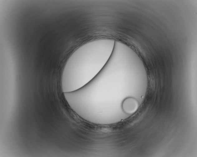 X0000115780594200911131008