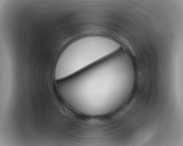 X0000115780596200911131008