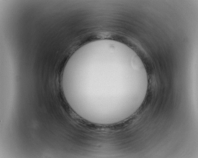 X0000115780598200911131008