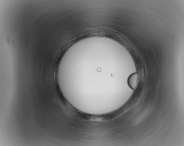 X0000115780602200911131008