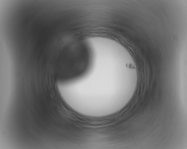 X0000115780605200911131008