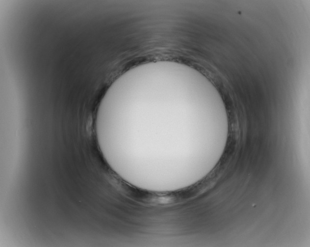 X0000115780610200911131008