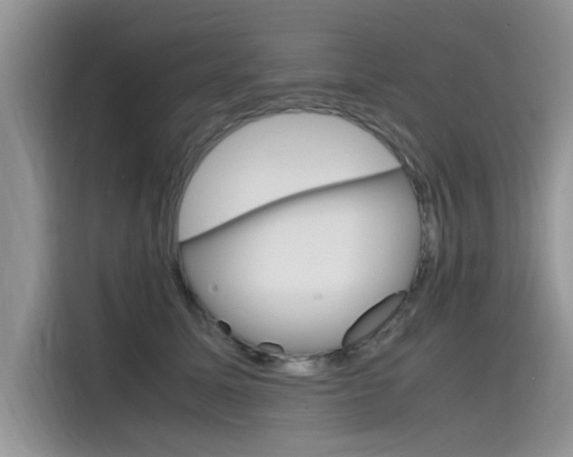 X0000115780611200911131008