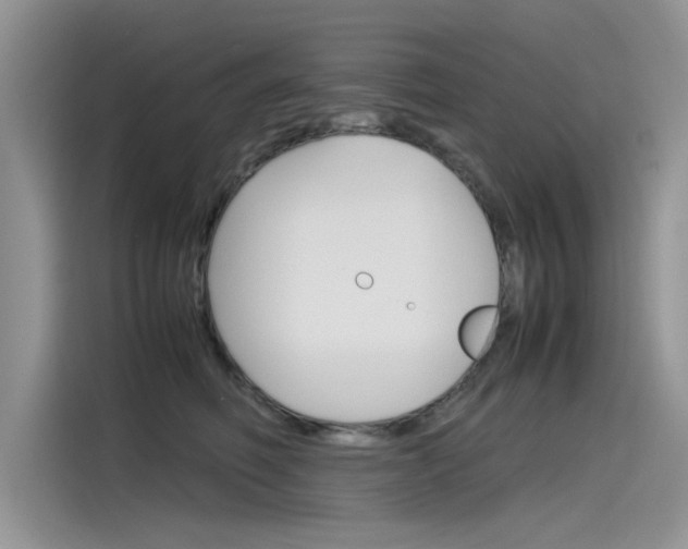 X0000115780614200911131007