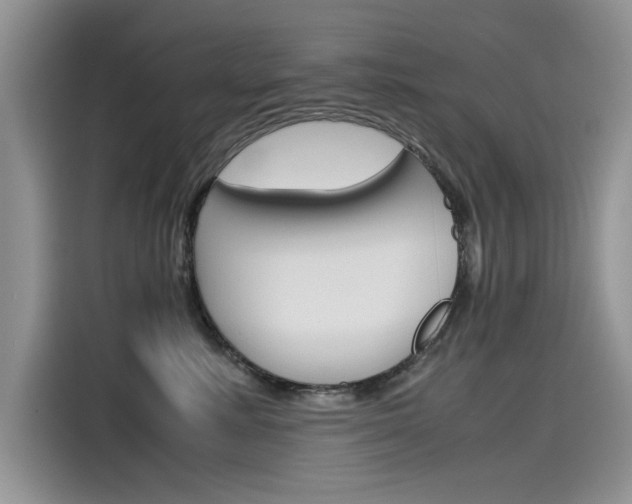 X0000115780619200911131007