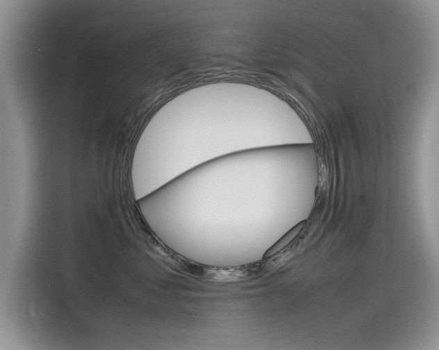 X0000115780621200911131007