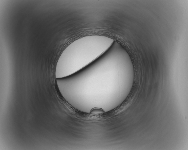 X0000115780624200911131007