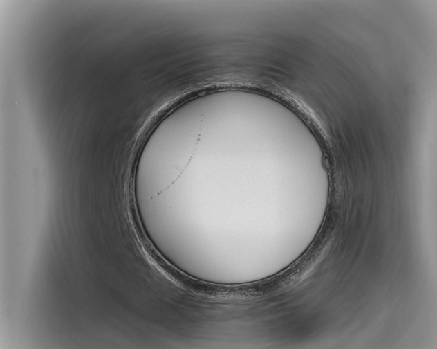 X0000115780625200911131007