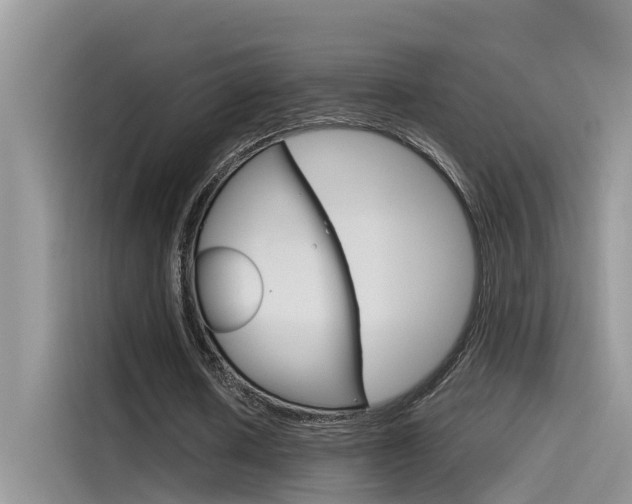 X0000115780626200911131007