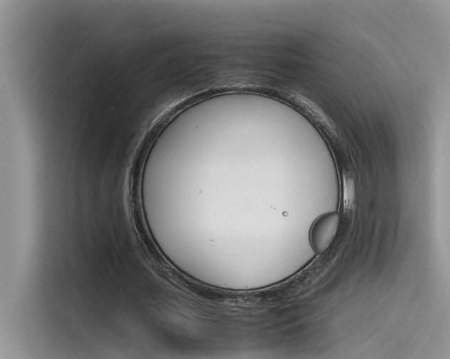 X0000115780627200911131007