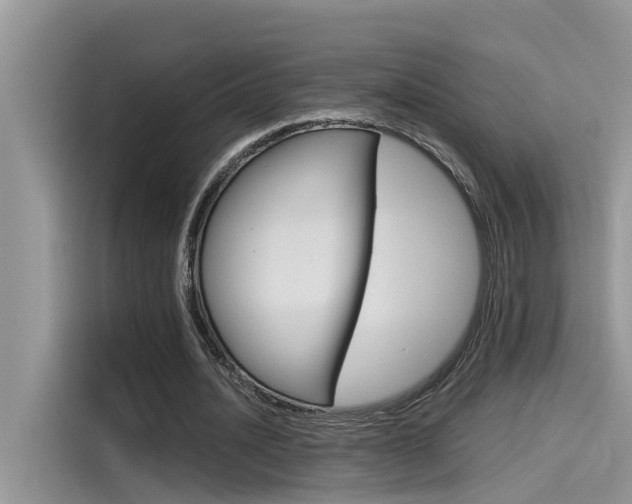 X0000115780628200911131007