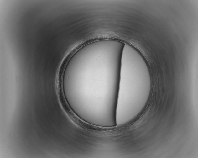 X0000115780630200911131007