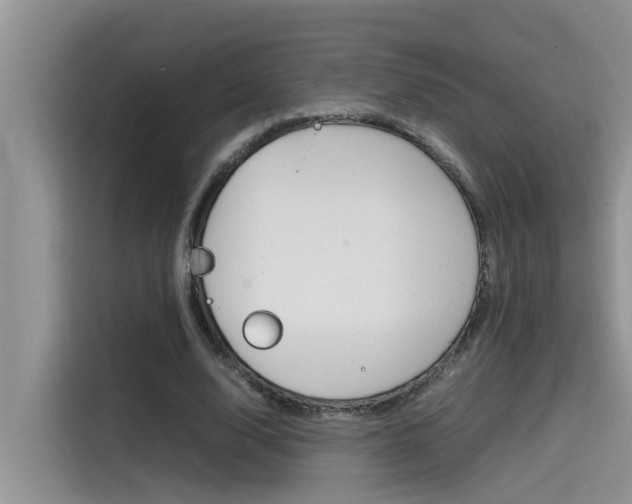 X0000115780632200911131007