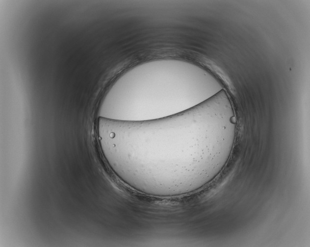 X0000115780633200911131007