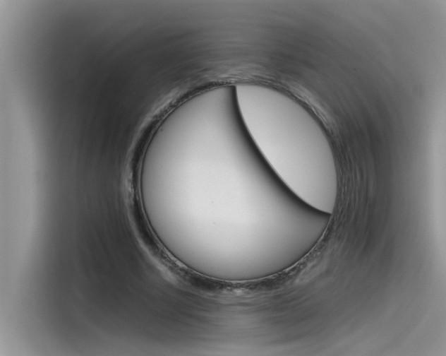 X0000115780634200911131007