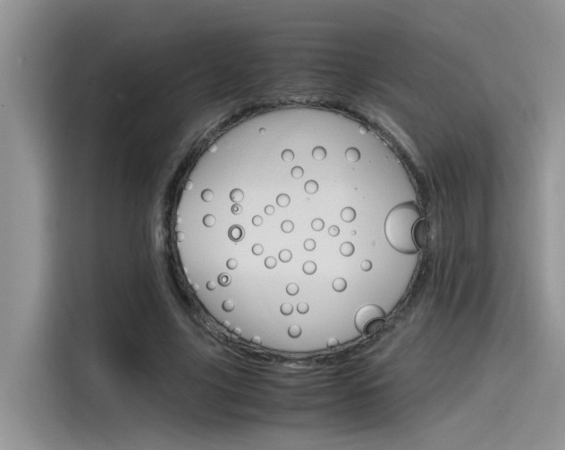 X0000115780635200911131007