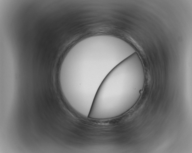 X0000115780637200911131007