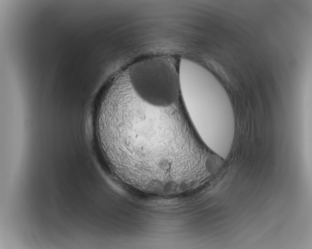 X0000115780638200911131007
