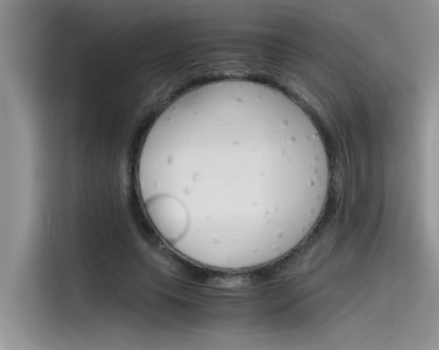 X0000115780639200911131007