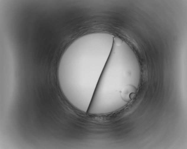 X0000115780641200911131007