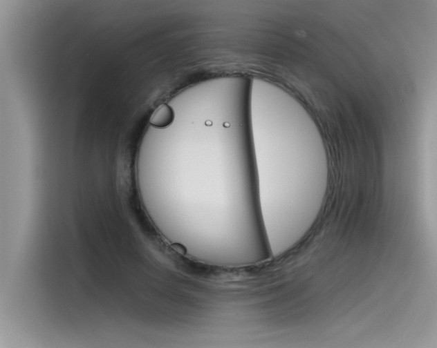 X0000115780642200911131007
