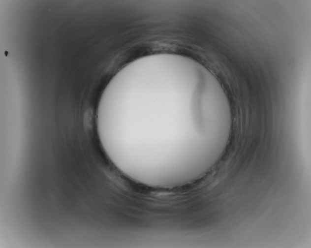 X0000115780649200911131007