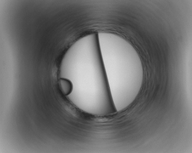 X0000115780650200911131007