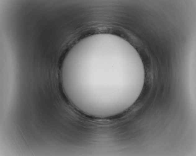 X0000115780654200911131007