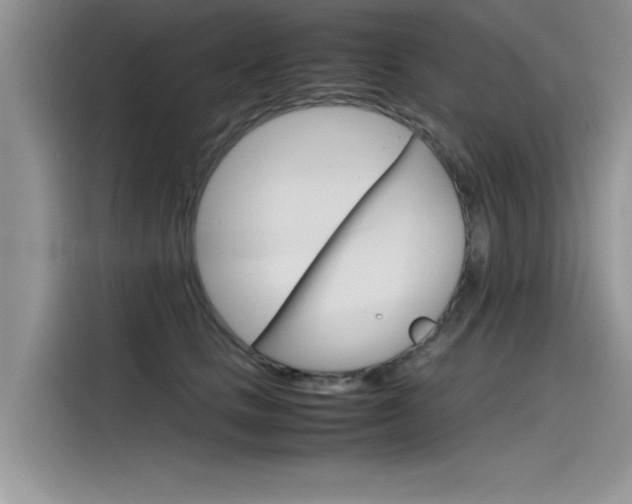 X0000115780661200911131007