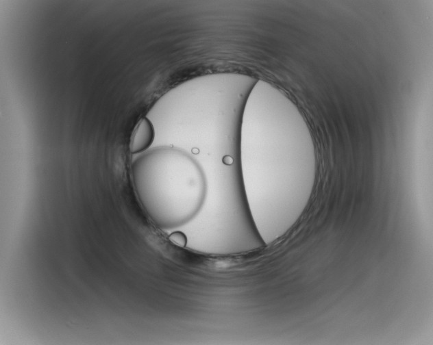 X0000115780662200911131007