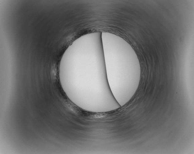 X0000115780668200911131007
