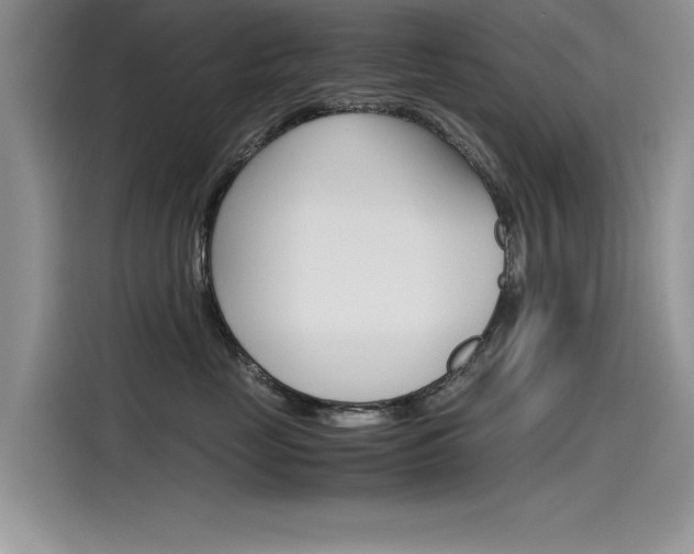 X0000115780669200911131007