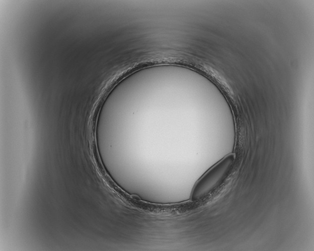 X0000115780673200911131007