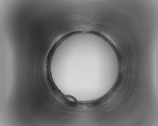 X0000115780679200911131007
