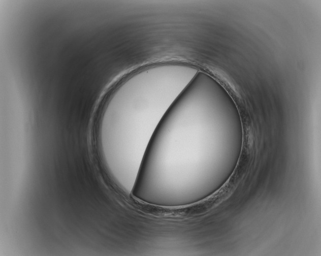 X0000115780680200911131007