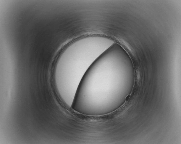 X0000115780684200911131007
