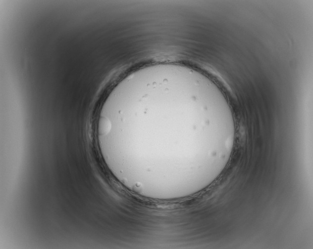 X0000115780686200911131007