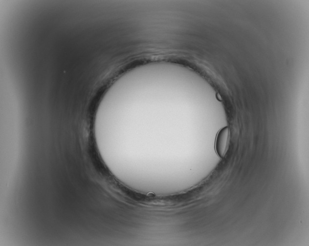 X0000115780691200911131006