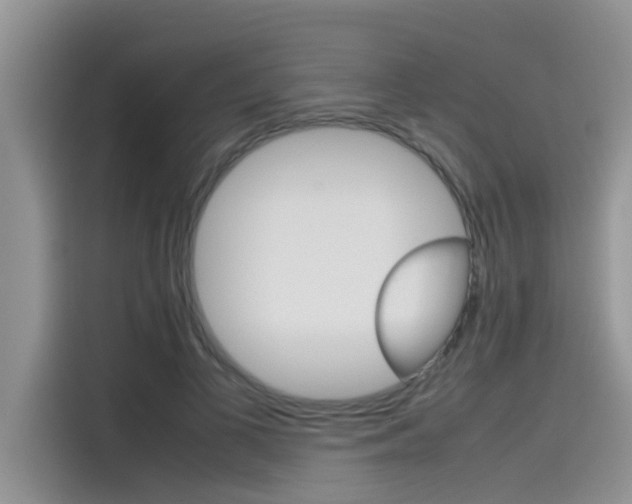 X0000115780693200911131006
