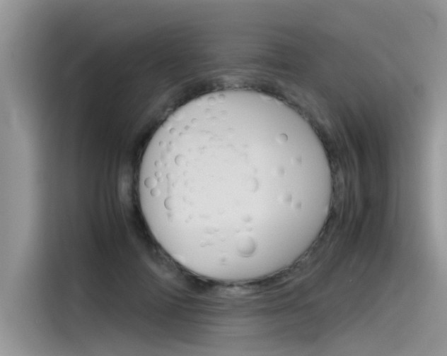 X0000115780698200911131006
