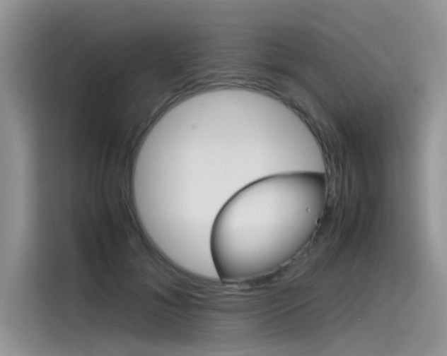 X0000115780700200911131006