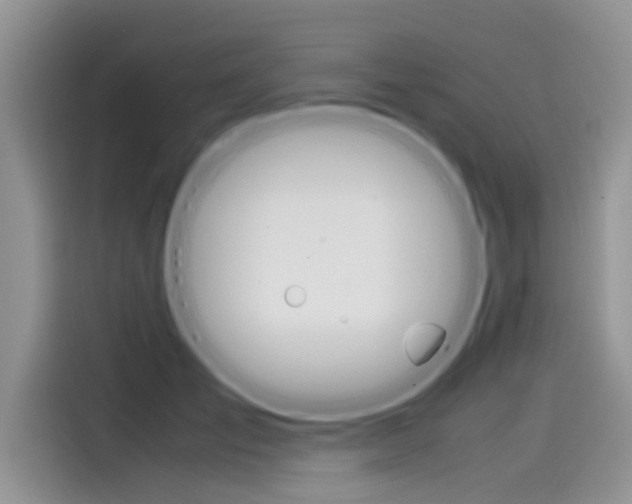 X0000115780701200911131006
