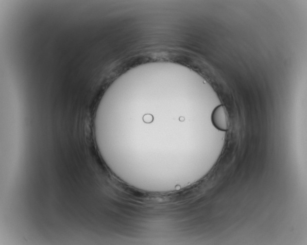 X0000115780702200911131006