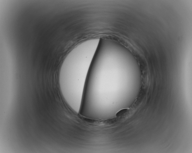 X0000115780704200911131006