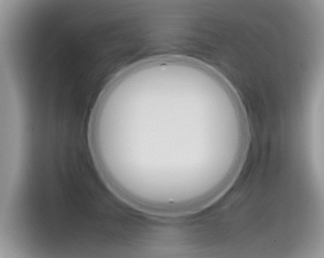 X0000115780705200911131006